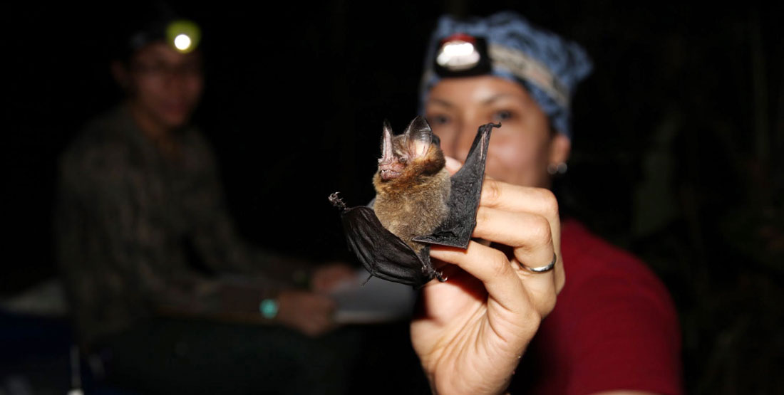 a woman wears a head lamp at night and holds a bat in her hand during a field test