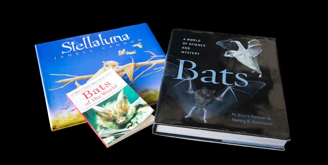 Bats Burke Box books