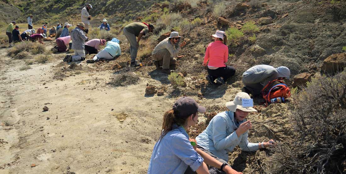 people look for microsfossils in the field