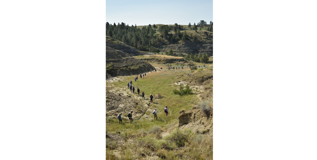 a line of dig participants hike to the field site