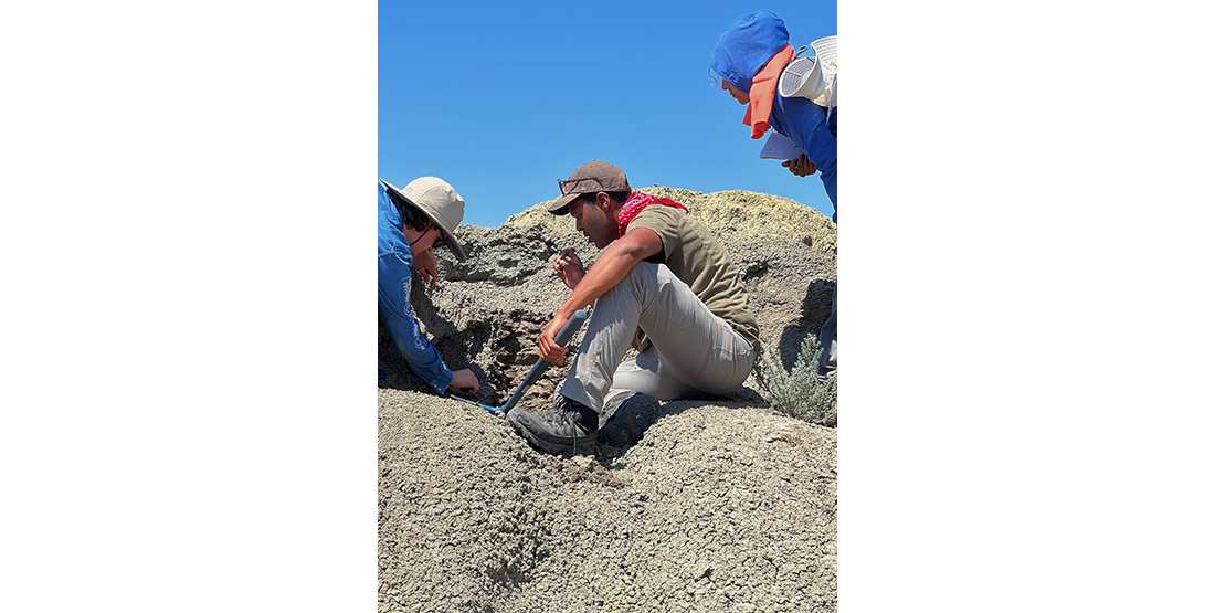 dig participants and instructors collect sediment
