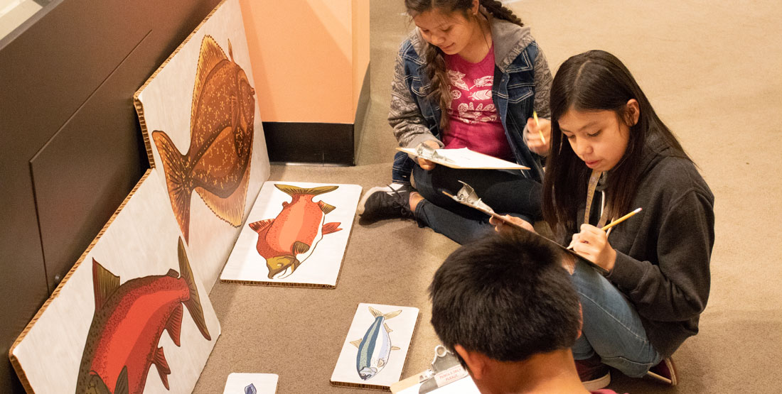 three students sit in front of pictures of fish and use clipboards to draw them