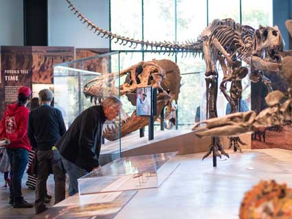 visitors in the fossils uncovered gallery at the burke museum