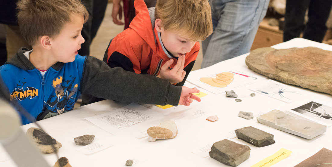 two young boys look at invertebrate fossils