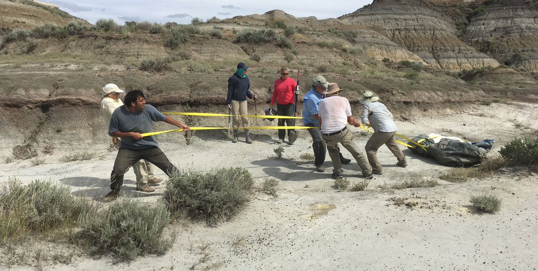 a group of men drag a heavy fossil contained in its field jacket across the dry desert floor in Montana