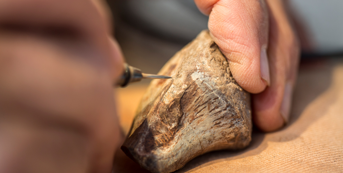 close up of hands holding a miniature jackhammer to remove rock from a small fossil bone