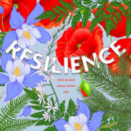 resilience burke museum annual report