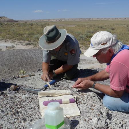 Two men kneel on a rock outcrop and use small tools to remove rock and dirt away from fossils in the ground