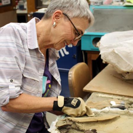 A woman scrapes away sandstone from the T. rex fossil