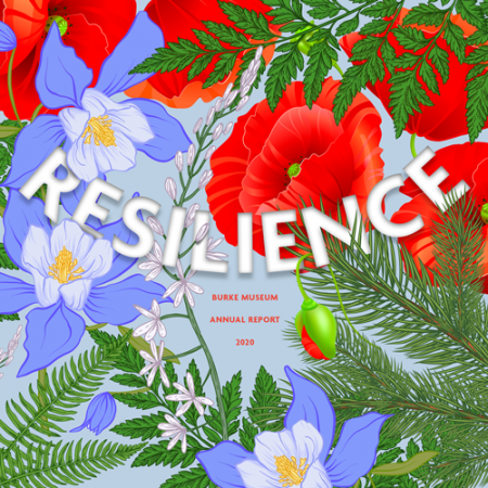resilience burke museum annual report 2020 on a background of colorful flowers