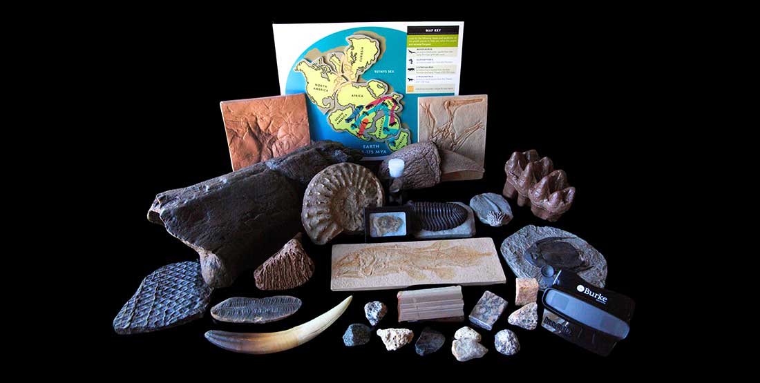 contents of geologic time box