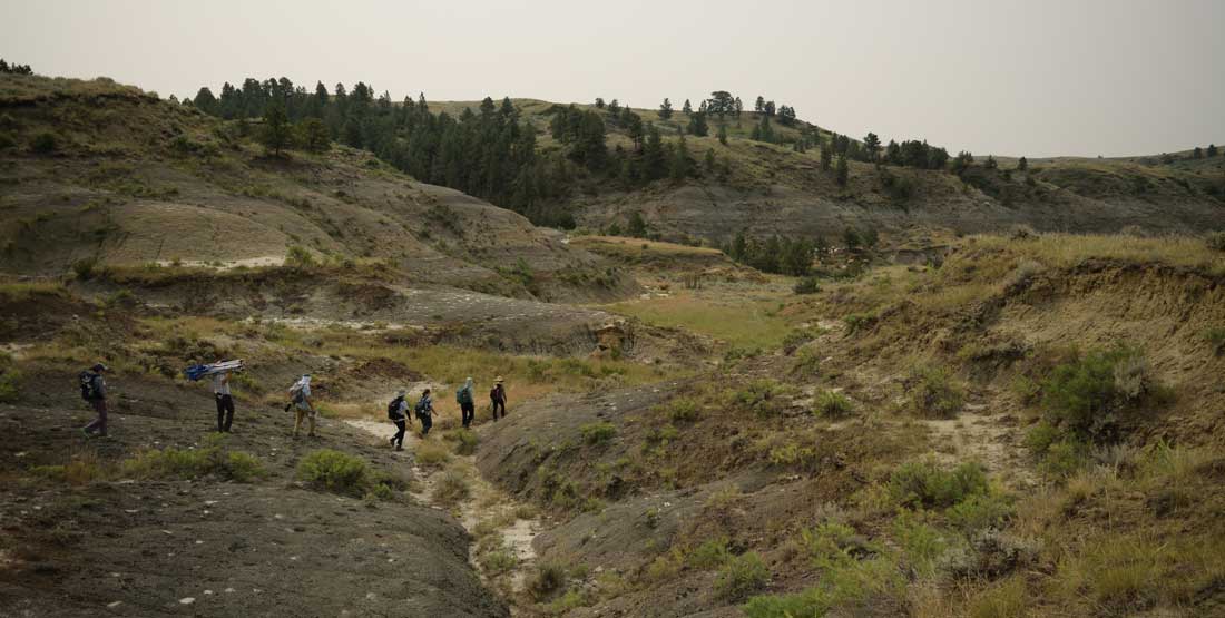 Participants trek across the badlands to reach a fossil-rich location. 