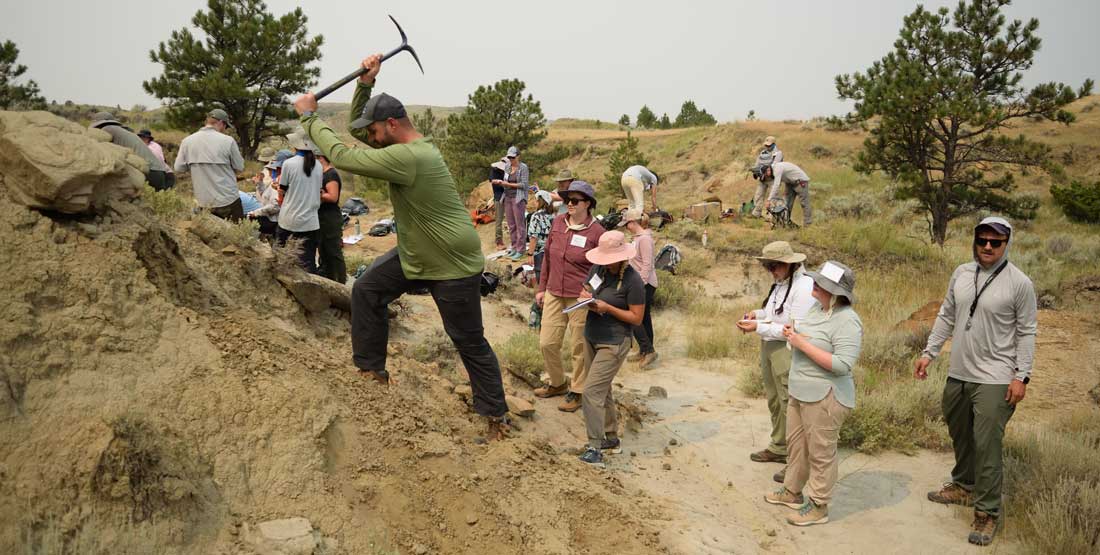 Once at the site, participants dig into the hillside to collect sediment and uncover fossils. 