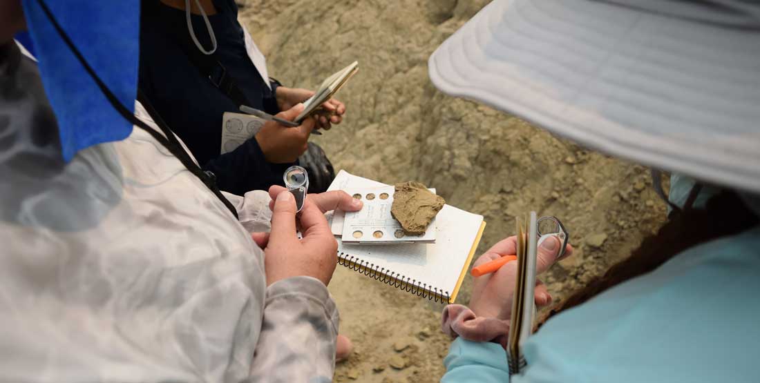 Participants use their newfound identification skills to identify fossils in the field.  