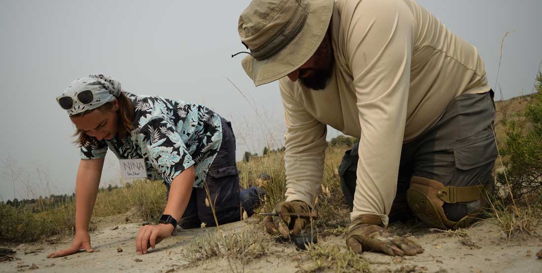 Combing for microfossils