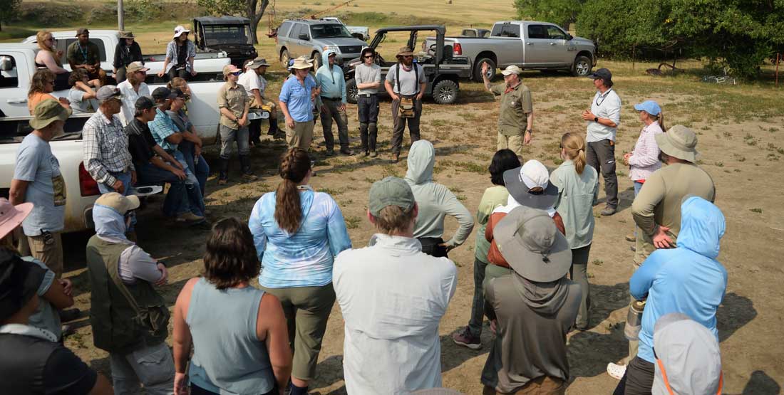 Participants meet the Thomas family, ranchers who graciously allow the DIG program to hunt for fossils on their property. Les, Jerri, and Corbin Thomas found many of the dinosaurs that participants help excavate.  