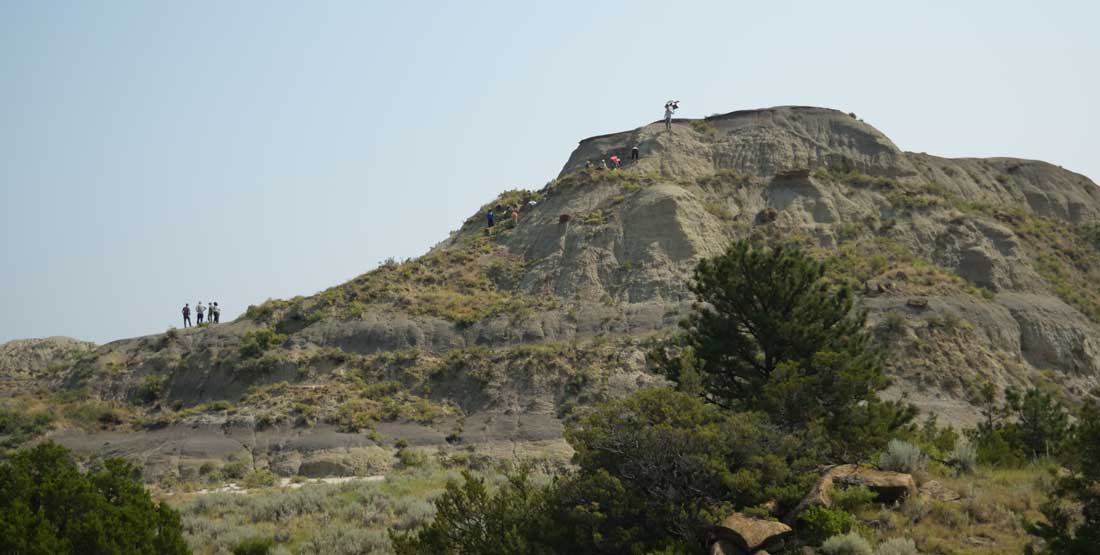 Searching for fossils requires bushwhacking and climbing as participants traverse an environment without trails.  