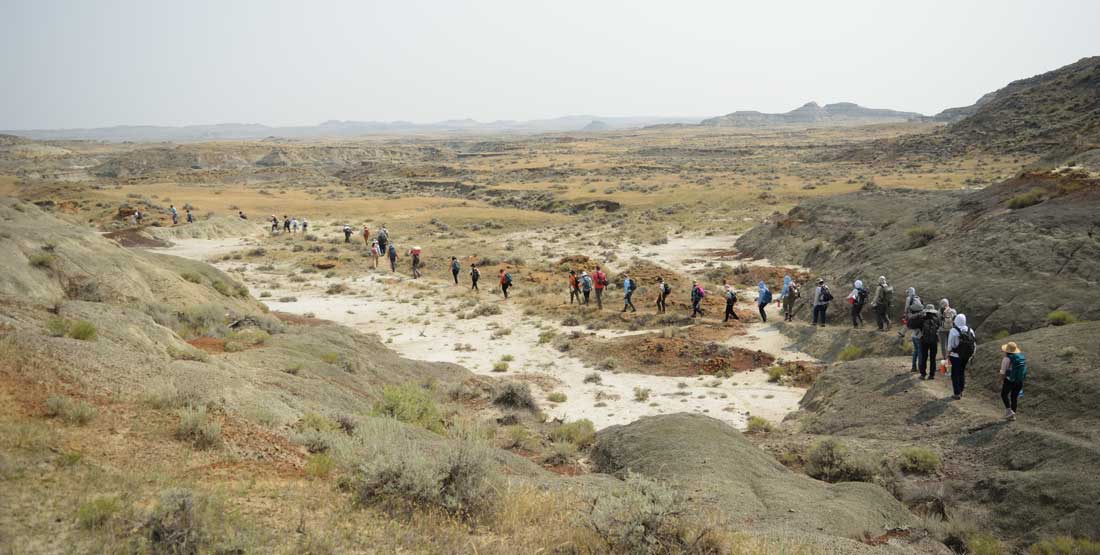 dig field school participants walk to the field site