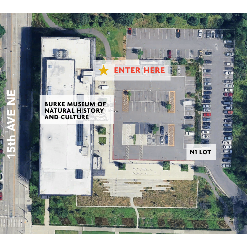 aerial map of burke museum and adjacent parking lot