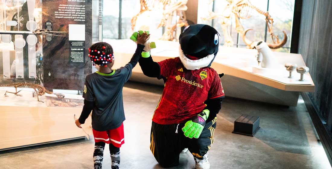 a kid high fives sammy the sounder at sounders fc day at the burke museum