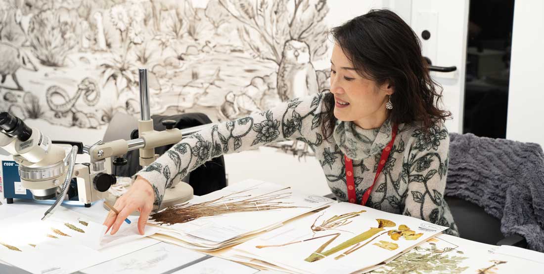 crystal shin works with plant specimens