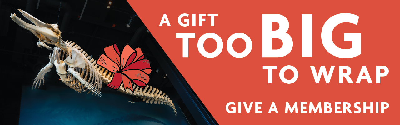 a gift too big to wrap give a membership