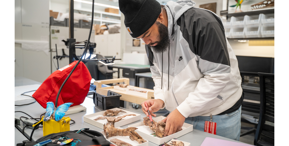 Alex Acker in the paleontology collections