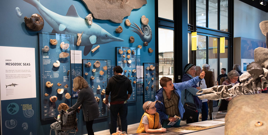 visitors look at paleontology specimens