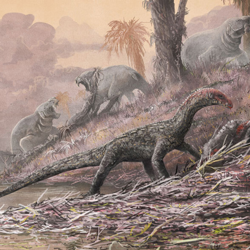 Decade of fossil collecting in Africa gives new perspective on Triassic ...