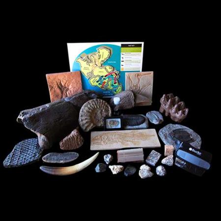 contents of geologic time burke box