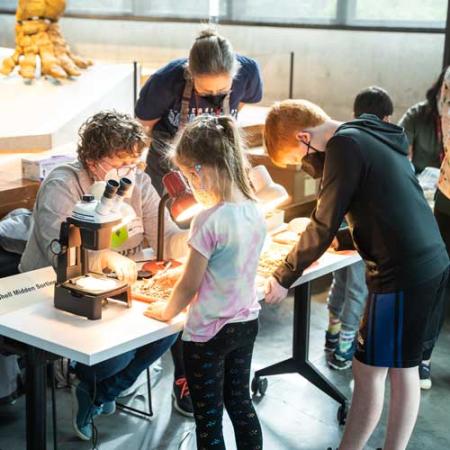 visitors at archaeology day