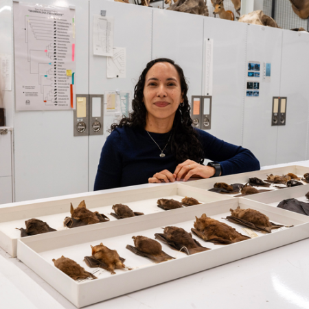 portrait of sharlene santana in biology collections with bat specimens in front of her on trays