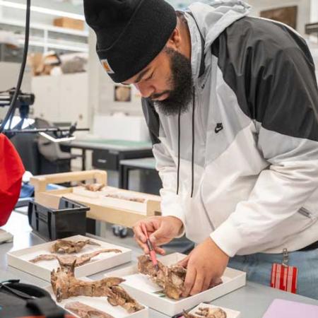 alex acker works in the vertebrate paleontology collections