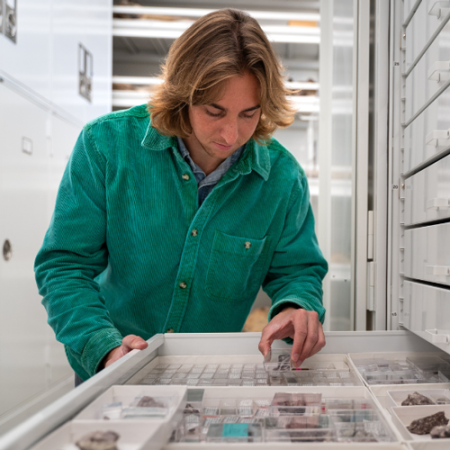 paul byrne in the paleo collections