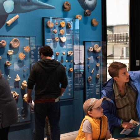 visitors learn about a specimen