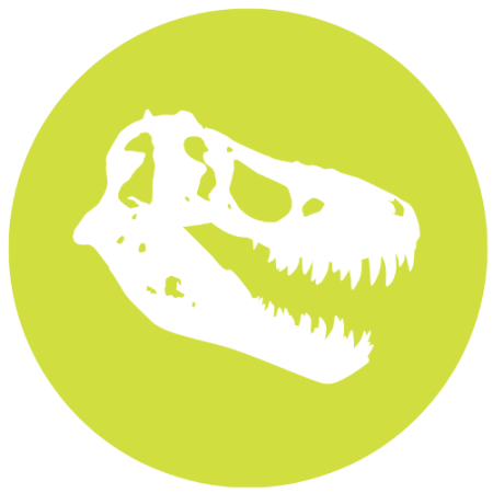 white t. rex skull on a bright green background